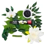 SPLAT Special Black Lotus 75 ml Зубна паста "Чорний лотос": Об'єм, мл 75