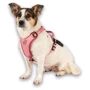 Шлея Max & Molly Smart ID Sport Harness Matrix 2.0 Rose/M 48-65 см розовая (4255636810264) фото 5
