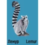 Ірина Ткачук: Слідами тварин. У джунглях: ISBN 978-617-7329-92-2