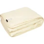 Ковдра Sonex Basic Gold 140х205 см + подушка 50х70 см (SO102372): Тип Комплекты