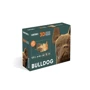 Картонний конструктор Cartonic 3D Puzzle BULLDOG: Кількість фрагментів, шт 131