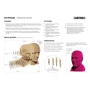 Картонный конструктор Cartonic 3D Puzzle ZINEDINE