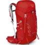 Рюкзак Osprey Talon 33 Martian Red - S/M (009.1411)