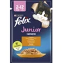 Вологий корм FELIX Fantastic Junior для кошенят шматочки в желе з куркою 26х85 г (7613039832189): Клас Економ