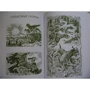 Эрин Хантер: Коты - воители. Герои племен: ISBN 978-5-00111-040-8