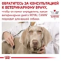 Сухой корм для собак Royal Canin Skin Care Dog при дерматозах 2 кг (40130201): Тип Сухой корм
