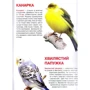 Велика книжка. Свійські тварини: Производитель БАО