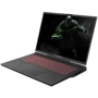 Ноутбук Dream Machines RG4060-17 (RG4060-17UA30) UA: Тип екрану матовый