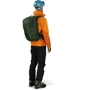 Рюкзак туристический Рюкзак туристический Osprey Soelden 32 Dustmoss Green O/S хаки (009.2274): Производитель Osprey