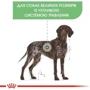 Сухой корм Royal Canin Digestive Care Maxi Adult для собак крупных пород с чувствительным пищеварением 12 кг (3055120): Тип Сухой корм