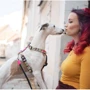 Шлейка для собак Max & Molly Urban Pets H-Harness - Missy Pop/M 2.0 см 53-69 см белая (4894512020900) фото 3
