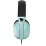 Навушники Hator Hyperpunk 2 USB 7.1 Black/Mint (HTA-848): Тип кріплення оголовные
