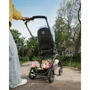 Прогулянкова коляска Bugaboo Dragonfly Graphite/Grey Melange (без капюшона) (100047039) фото 8