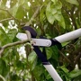 Сучкорез Fiskars PowerGearX L обводной 112490 (1020188): Тип веткорезы