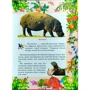 Чемпіони серед тварин: ISBN 978-966-8826-48-1