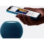 Акустика Apple HomePod mini Blue (MJ2C3) OPEN BOX: Тип настольная