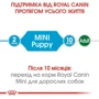 Сухой корм для щенков Royal Canin Puppy Mini мелких пород 8 кг (30000801): Класс Супер премиум