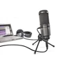 Микрофон YT-AT-0138 AUDIO-TECHNICA AT2020USB+: Тип USB микрофоны