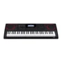 Синтезатор CASIO CT-X3000C7