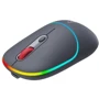 Мышь Canyon MW-22 Dual Band RGB Wireless Dark Grey (CNS-CMSW22DG): Интерфейс подключения Bluetooth, Wireless