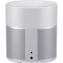 Акустика Bose Home Speaker 300, Luxe Silver (808429-2300): Тип настольная