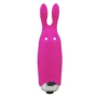 Минивибратор Adrien Lastic Pocket Vibe Rabbit Pink