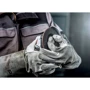 Болгарка (кутова шліфувальна машина) Metabo W 13-150 Quick (603632000): Виробник Metabo