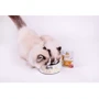 Вологий корм Brit Care Soup with Duck Суп для котів з качкою 75 г (8595602569182): Клас Супер премиум