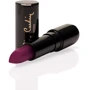 Pierre Cardin Porcelain Edition Lipstick № 232 Роскошная фуксия Помада для губ 4 g: Класс косметики Элитная