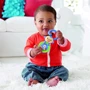 Брязкальце Мавпочка Fisher-Price (CGR93) фото 2