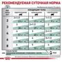 Влажный корм Royal Canin Diabetic Feline для котов с диабетом 85 г (40850011): Возраст Взрослые