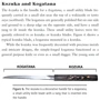 Don Cunningham: Samurai Weapons. Tools of the Warrior: Жанр Искусство и фотография