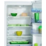 Холодильник BEKO CSA 29010: Исполнение отдельностоящий