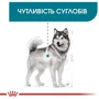 Сухой корм Royal Canin Maxi Joint Care Adult для собак крупных размеров с повышенной чувствительностью суставов 10 кг (2930100): Тип Сухой корм