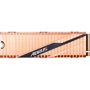 GIGABYTE AORUS NVMe Gen4 SSD 1 TB (GP-ASM2NE6100TTTD)