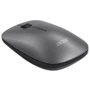 Мышь Acer Thin and Light wireless Mouse Grey (GP.MCE11.01J): Интерфейс подключения Wireless