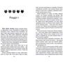 Комплект книг Коти-вояки: Книга 1 + Книга 2 + Книга 3 + Книга 4 + Книга 5 + Книга 6: Автор Эрин Хантер