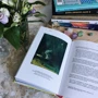 Дана Арнольд: Говорит и показывает искусство: Количество страниц 192