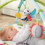 Детский коврик Tiny Love Веселая поляна с дугами (1206506830): Особенности музыкальное сопровождение, игровые дуги