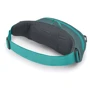 Поясна сумка Osprey Daylite Waist jetstream blue/cascade blue O/S бірюзовий (009.3633): Тип сумка на пояс