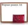 Жіночий гаманець Karya червоний (SHI1063-019): Тип Гаманці