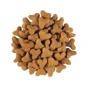 Сухой корм для котов Royal Canin Gastrointestinal Fibre Response при запорах 2 кг (400702091): Тип Сухой корм