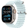 Apple Watch Ultra 2 2024 GPS + Cellular 49mm Natural Titanium Case with Ice Blue Ocean Band UA