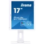 Монитор iiyama B1780SD-W1: Покрытие экрана матовое