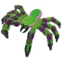Игрушка Zing Klixx Creaturez - Fidget Паук зелено-фиолетовый (KX100_A): Пол Унисекс