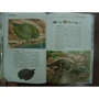 Динозавры: ISBN 978-5-91233-368-2