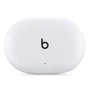 Наушники Beats by Dr. Dre Studio Buds White (MJ4Y3): Тип крепления без креплений