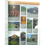 Шотландия. Путеводитель Berlitz Pocket Guide: Обложка Мягкая