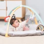 Розвиваючий музичний кокон Taf Toys Затишне Гніздечко 4в1 (12235) фото 16
