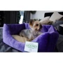 Лежак Luсky Pet Рольф №3 для собак фиолетово-кремовый 60х80х24 см (218441): Тип Лежак